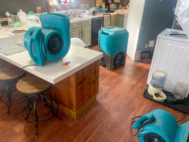 Best Water damage contractors near me  in Powell, WY
