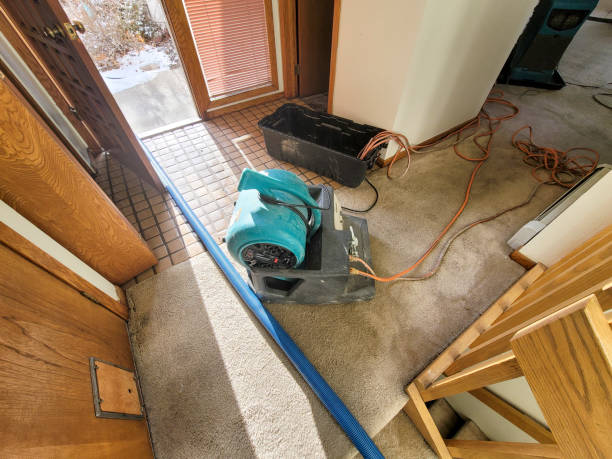 Best Commercial water damage restoration  in Powell, WY