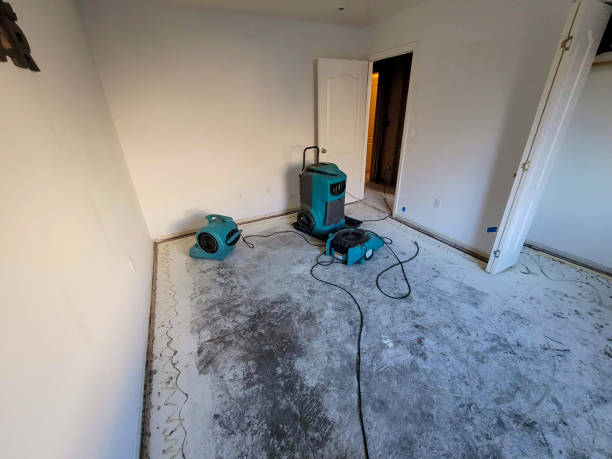 Best Carpet water damage restoration  in Powell, WY
