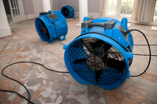 Best Water damage restoration near me  in Powell, WY