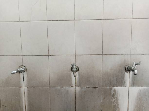 Best Emergency water damage restoration  in Powell, WY